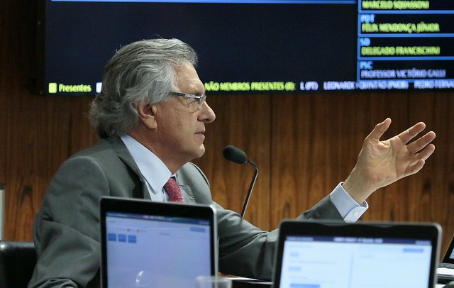 fotocaiado