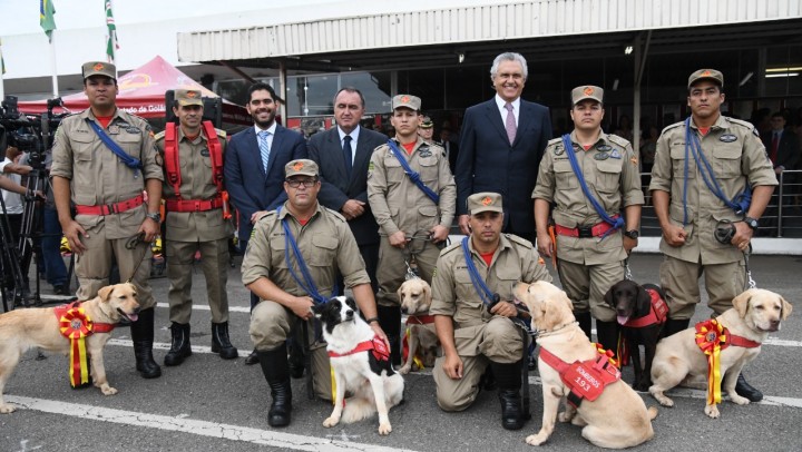 Homenagem foi concedida nesta terça, 5. (Foto: Cristiano Borges)