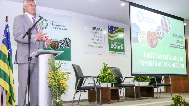 Foto: Vinícius Schmidt