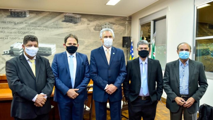 Governador sanciona lei que transforma mais de 3 mil pits dogs em patrimônio cultural imaterial de Goiás (3)