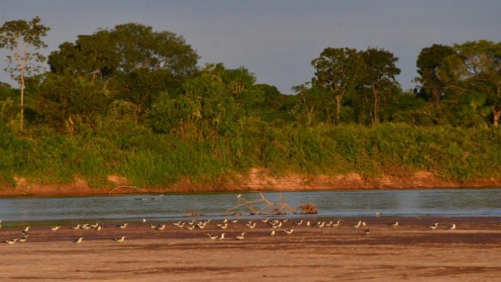 rio araguaia